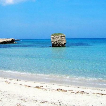 סן פוקה Casa Vacanze Mare E Ulivi מראה חיצוני תמונה